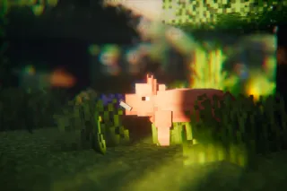 Entity Model Mod