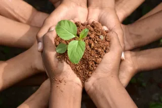 Why SaveSorb's Natural Plant Material Absorbent is the Best Alternative to Kitty Litter for Spill Management