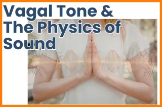 Why Vagal Tone is the Secret to Premium Yoga: The Physics of Sound Healing Explained