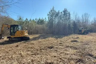 Why Fall Is the Best Time to Schedule Forestry Mulching (And Why December Books Fast)