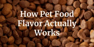 How Pet Food Flavor Actually Works | Northwestern Extract Company