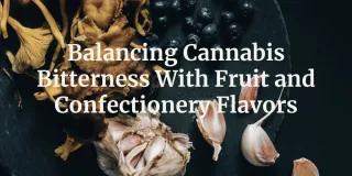 Balancing Cannabis Bitterness With Fruit and Confectionery Flavors