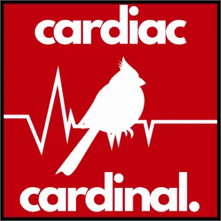 Every beat of Louisville athletics: welcome to Cardiac Cardinal