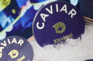 Premium Presentation: The Kaviari Paris Experiential Sizzle Reels