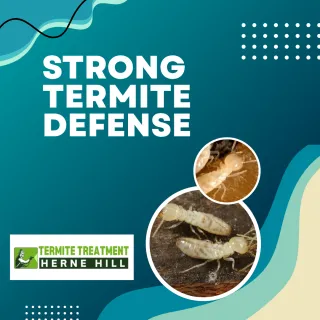 Complete Guide to Safe and Effective Termite Treatment