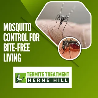 Mosquito Control Services to Enjoy Bite-Free Living