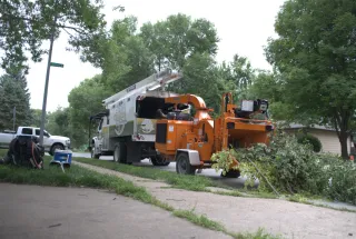 What Should You Do With Your Trees After a Storm in Omaha, NE?