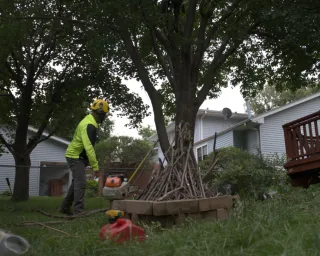 When Is the Best Time to Trim Trees in Nebraska?