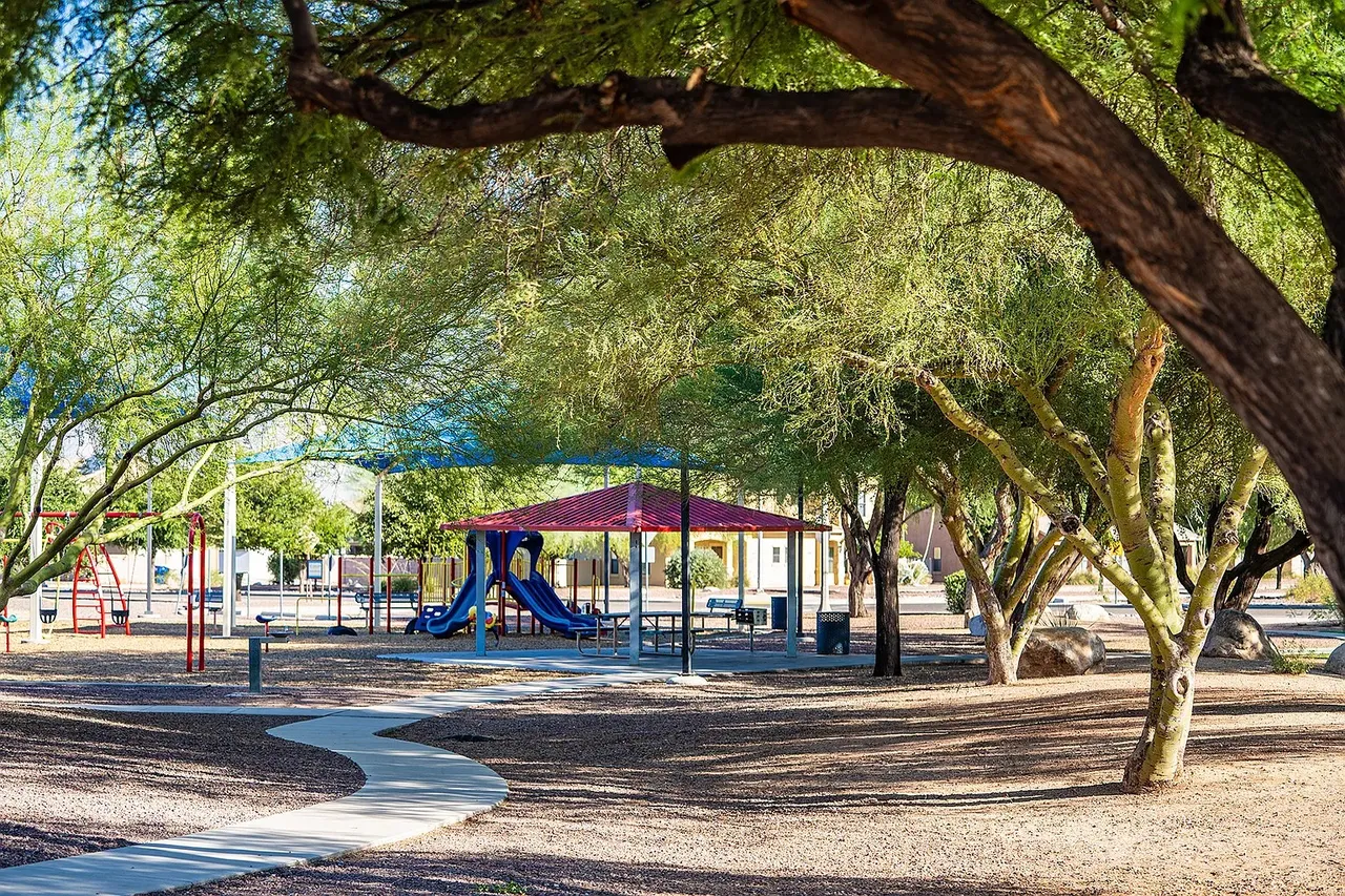Horizon Park in Scottsdale, Arizona: A Fun Spot for Sports, Sunshine, and Family Time