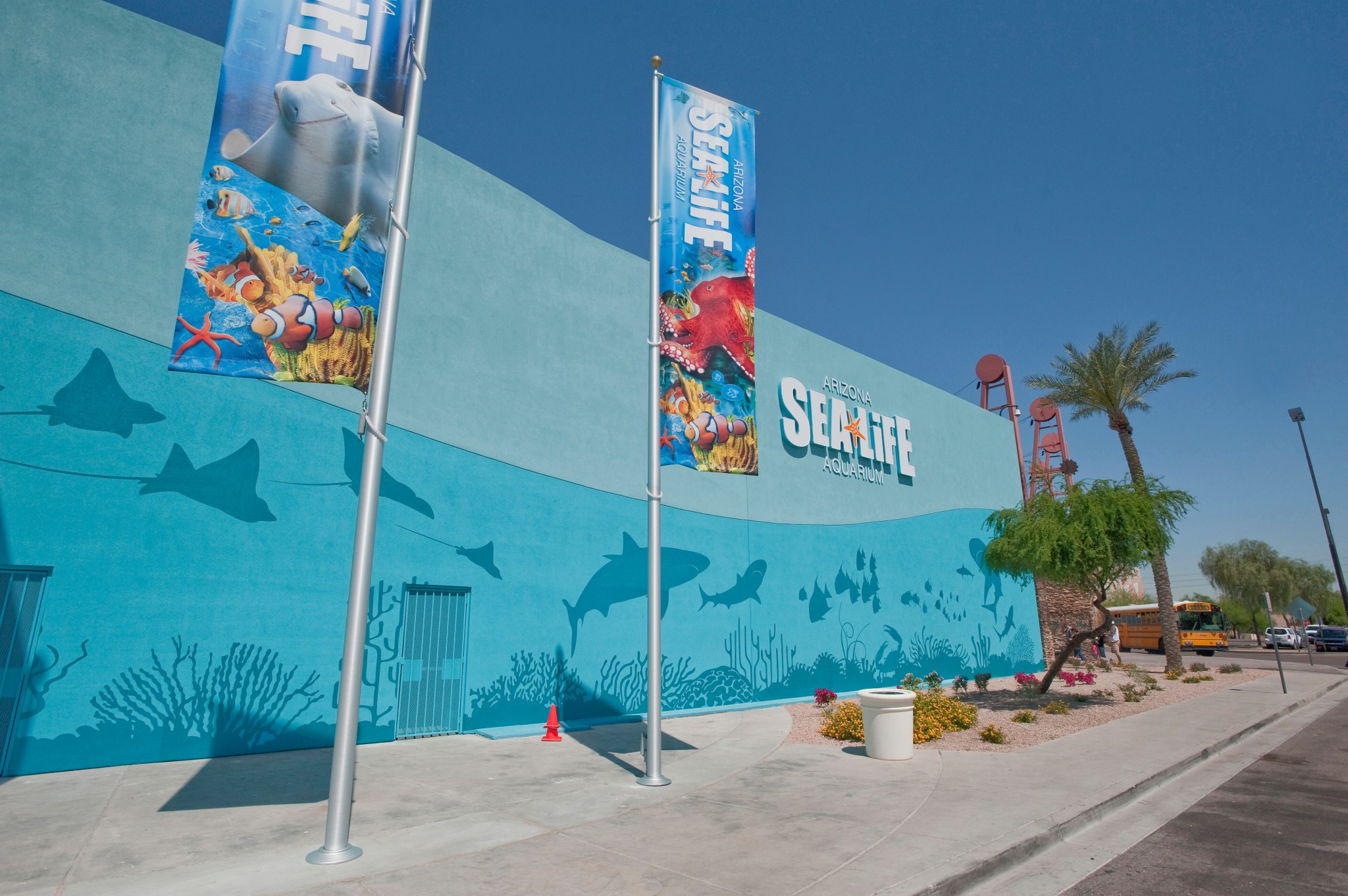 Explore the Underwater World at SEA LIFE Arizona Aquarium in Tempe, Arizona 🌊🐠