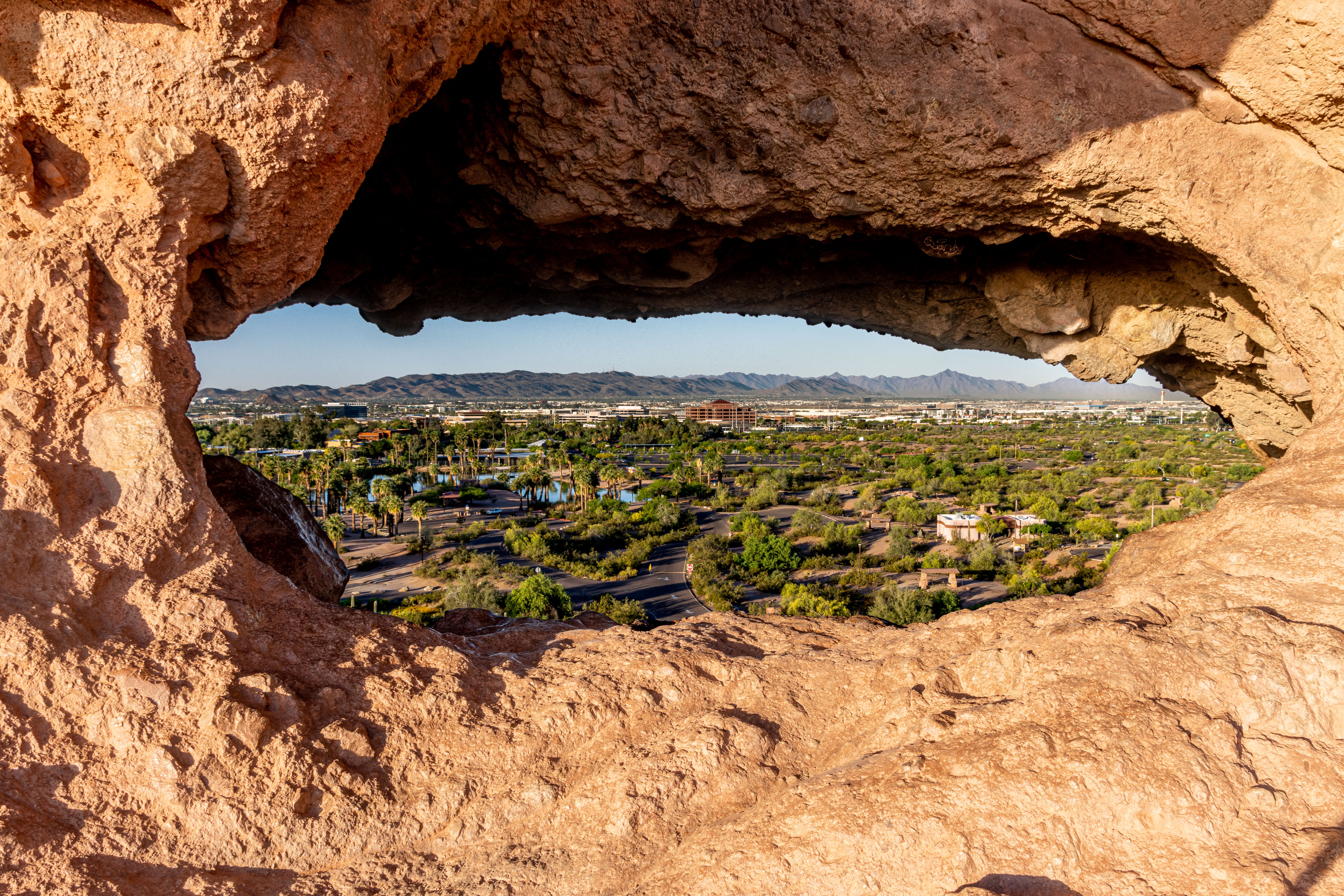 Desert Botanical Garden: Discover the Colorful Side of the Desert in Phoenix, Arizona 🌵