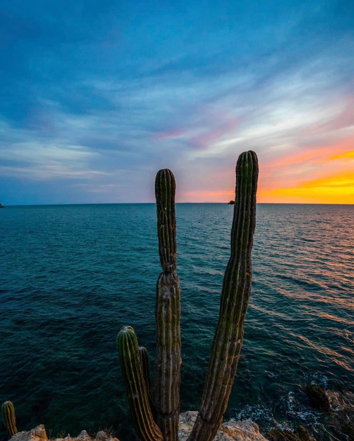 Moving to La Paz, Mexico: A First-Hand Guide to Real Estate, Lifestyle & Costs