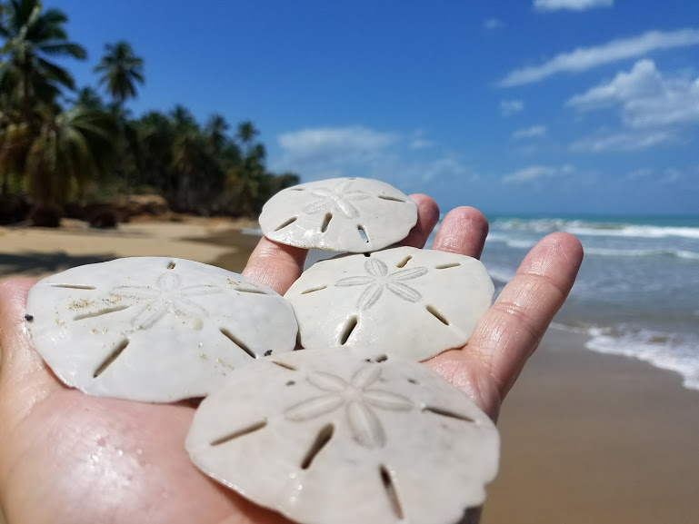 Why I Joined Dream Baja Realty, and What I Wouldn’t Compromise On