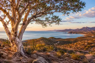 Baja California Sur's beautiful East Cape. The Land Didn't Change. Its Value Did. 