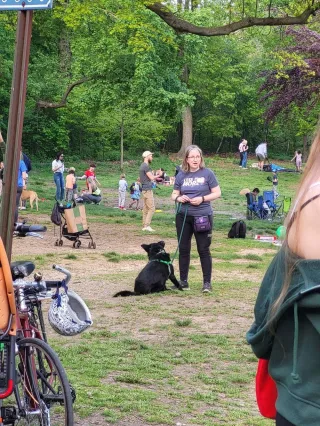 The Spring Regression  aka Why is my dog going nuts?