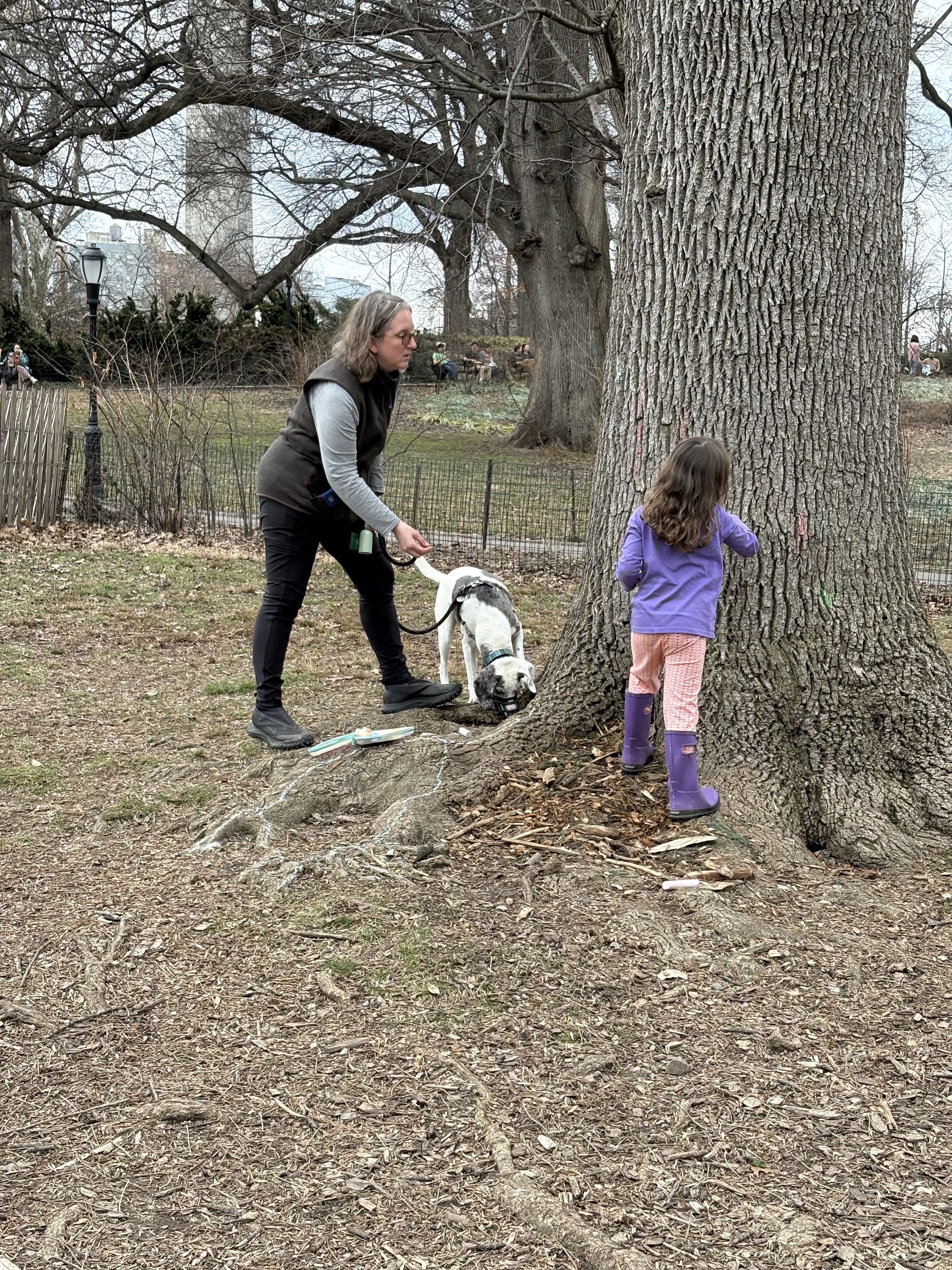 Oo Baby, Baby (and a dog): Thoughts about preparing your dog for a baby
