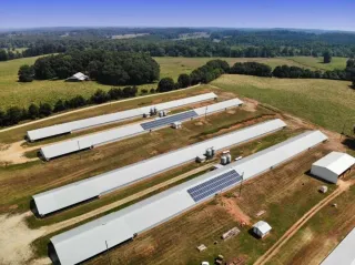 The Farm as a Power Plant - Part 5 of 5