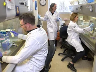 New $1.9 million grant lets Montana State team deepen understanding of avian flu