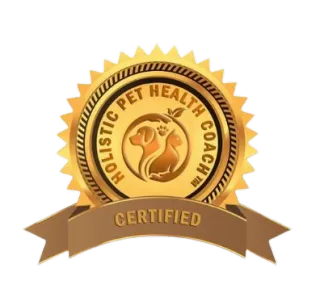 Starting Fresh: Why I Became a Holistic Pet Health Coach 