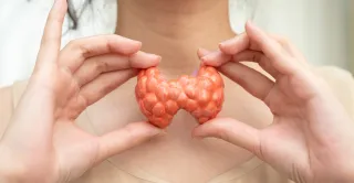 Cortisol and Thyroid Function: What Stress May Be Doing to Your Thyroid