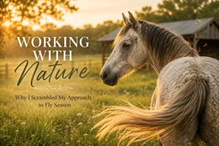 Working With Nature: Why I Scrambled My Approach to Fly Season