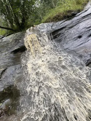 Which river are you swimming in?