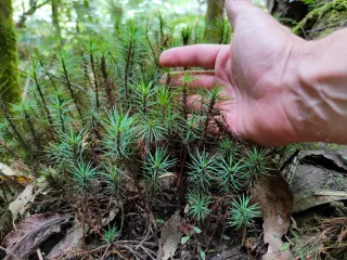 The Three Leadership Skills That Matter Most in an AI-Accelerated World - Copy