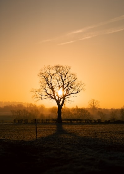When the Story Becomes Real--From Grief to Hope: The Journey We Don’t Talk About 