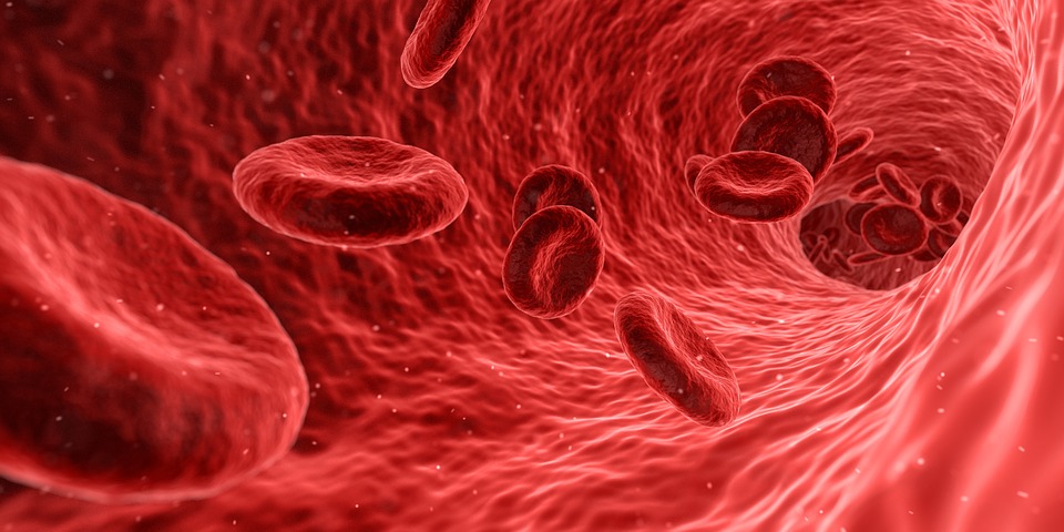 Blood Sugar is Crucial for Your Brain!