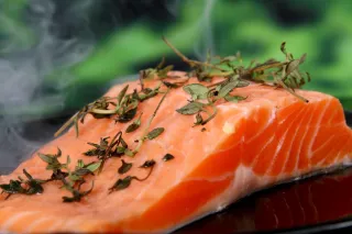 Fish: The Ultimate Brain Food?