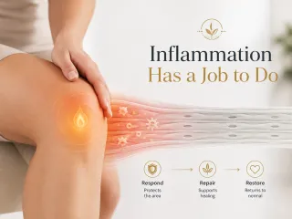 Inflammation Is Not Always the Enemy | Infinite Longevity