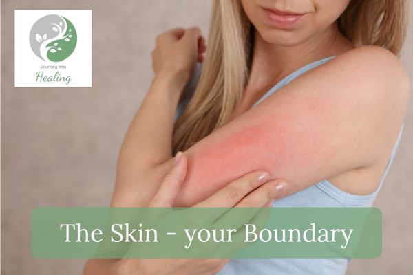The Skin - your boundary