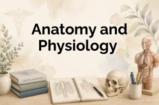 Anatomy & Physiology: Learning the Body Without Feeling Overwhelmed