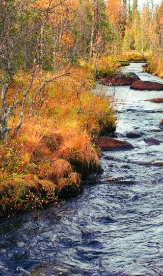 An Unknown River
