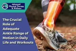 The Ankle's Important Role in Everyday Movements