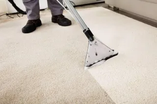 How Often Should You Get Your Carpets Cleaned for a Healthy, Fresh Home?