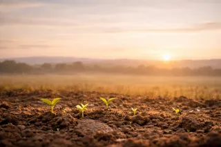 You Can’t Get It That Way