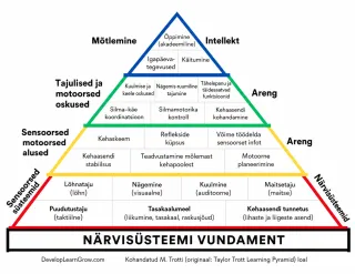 Kui laps ei suuda keskenduda, ei pruugi probleem olla tähelepanus