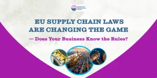 The EU’s New Sustainability Rules: What UK Small Businesses Need to Know