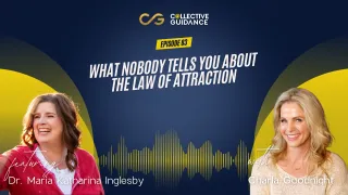 83 : What Nobody Tells You About the Law of Attraction