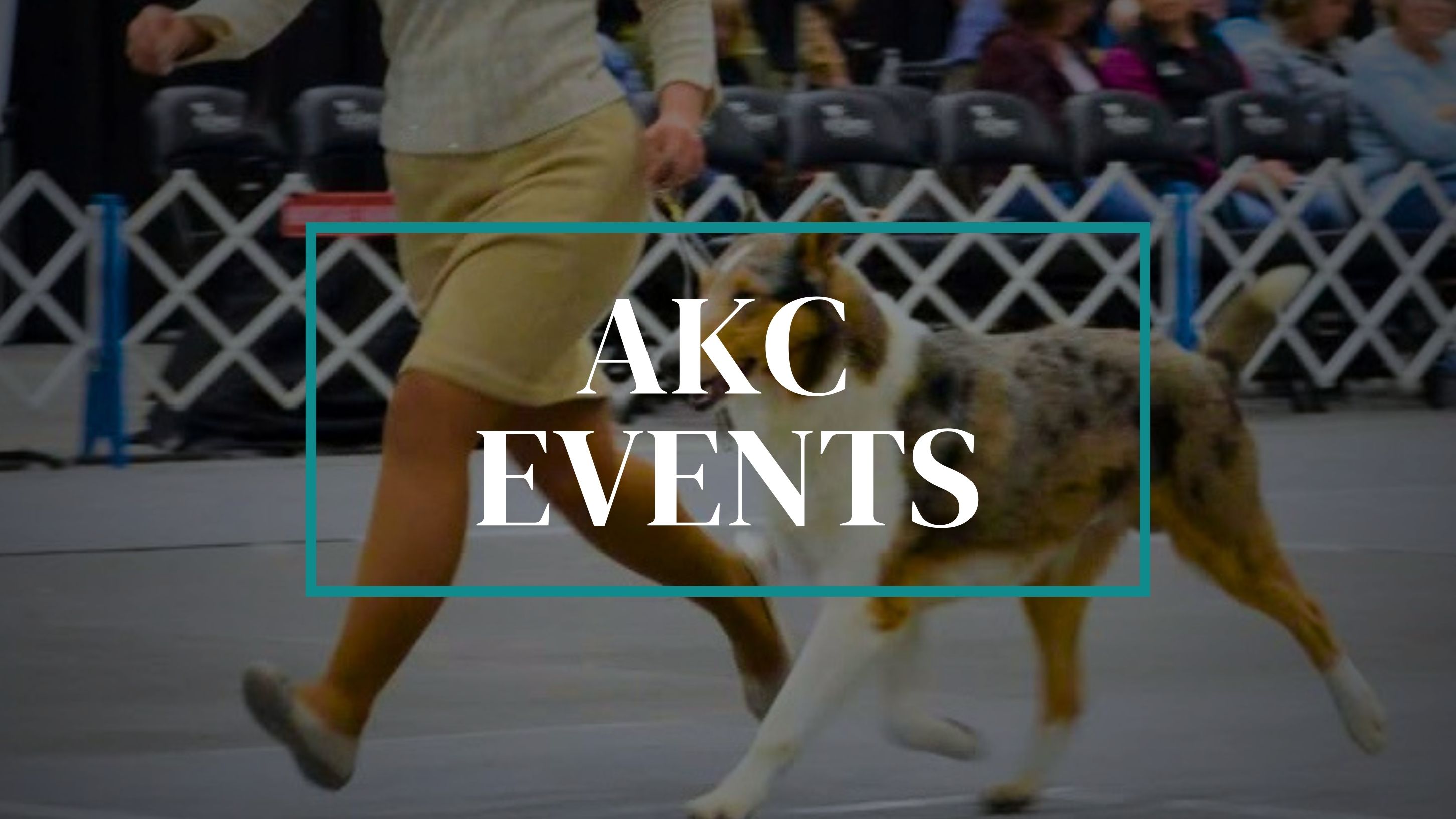 AKC Events