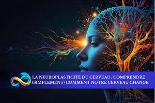 La neuroplasticité du cerveau : comprendre (simplement) comment notre cerveau change