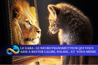 Le Gaba : LE NEUROTRANSMETTEUR qui vous aide à rester calme, solide... et profondément vous même
