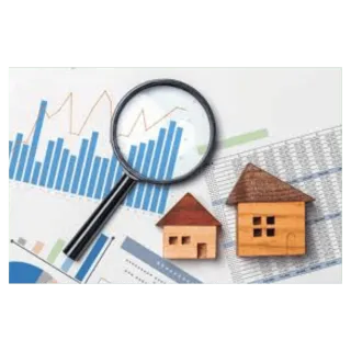 Real Estate Professional Status