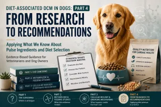 Diet-Associated Dilated Cardiomyopathy in Dogs: From Grain-Free Diets to Cellular Biology — Part 4