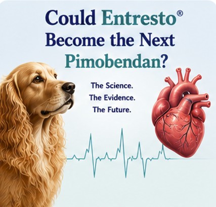 Could Entresto® Become the Next Pimobendan?