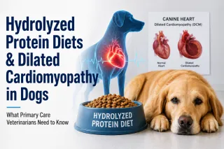 Hydrolyzed Protein Diets and Dilated Cardiomyopathy: Should We Be Concerned?
