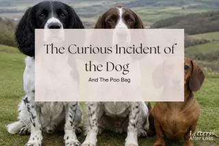 30. The Curious Incident of The Dog and The Poo Bag