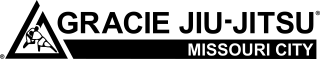 Black Belt Martial Arts Center