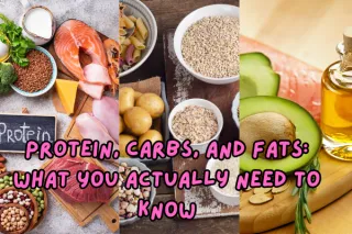 Protein, Carbs, and Fats: What You Actually Need to Know